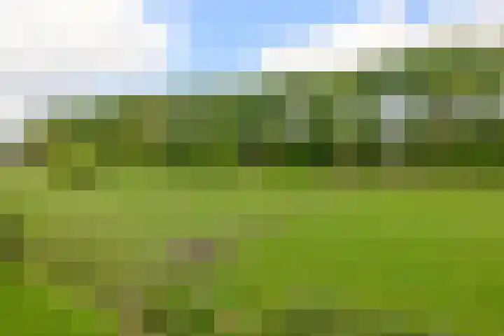 Achterdijk 17 Zevenbergen thumbnail 81