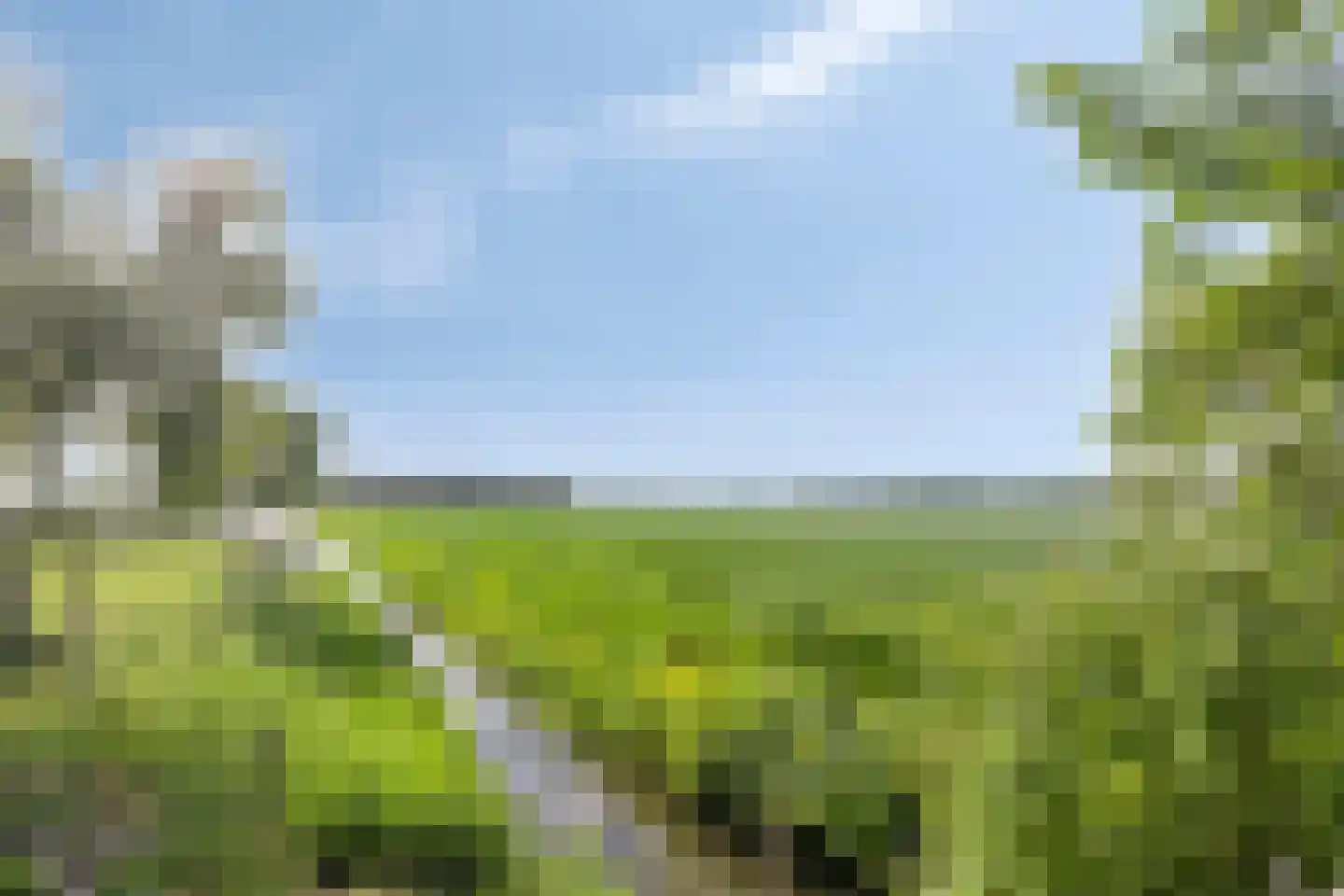 Achterdijk 25 Vierpolders thumbnail 37