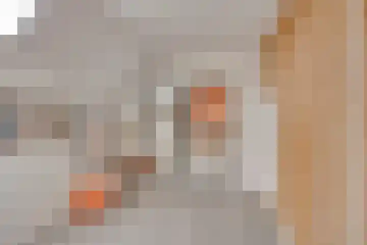 Achterdijk 3 Rossum thumbnail 30