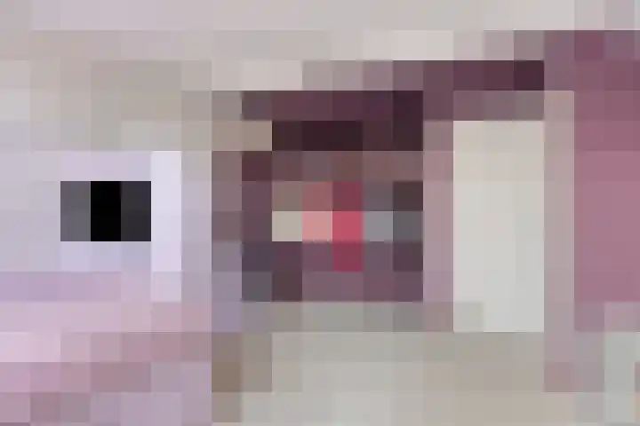 Achterdijk 3 Rossum thumbnail 32