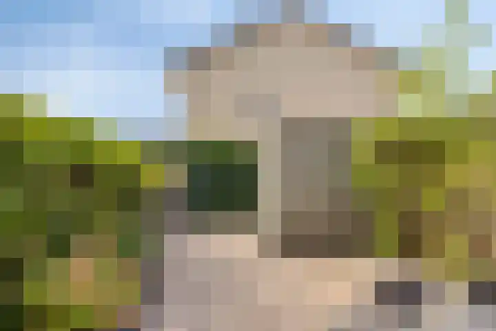 Achterdijk 3 Rossum thumbnail 40