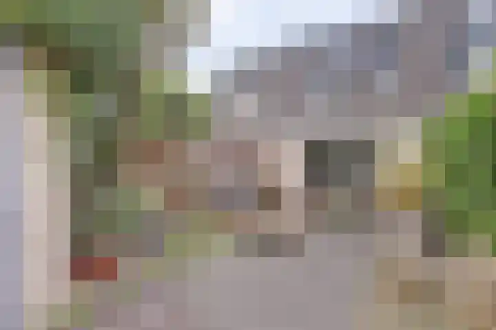 Achterdijk 3 Rossum thumbnail 44