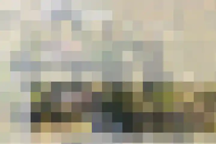 Achterdijk 3 Rossum thumbnail 6
