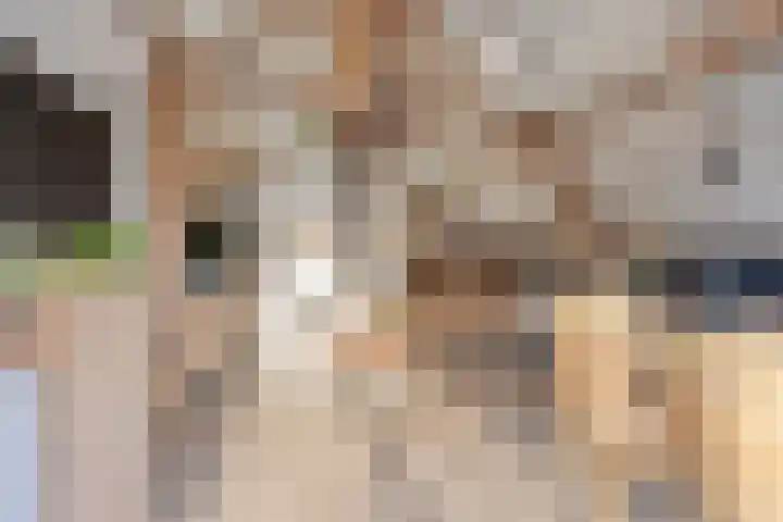 Achterdijk 3 Rossum thumbnail 67