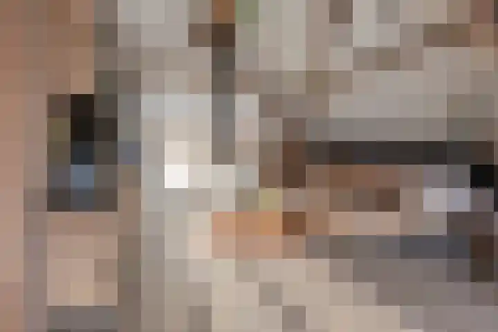 Achterdijk 3 Rossum thumbnail 68