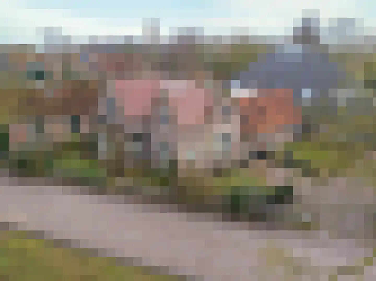 Achterdijk 3 Rossum thumbnail 7