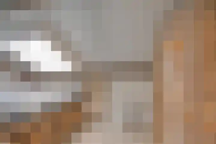 Achterdijk 3 Rossum thumbnail 75