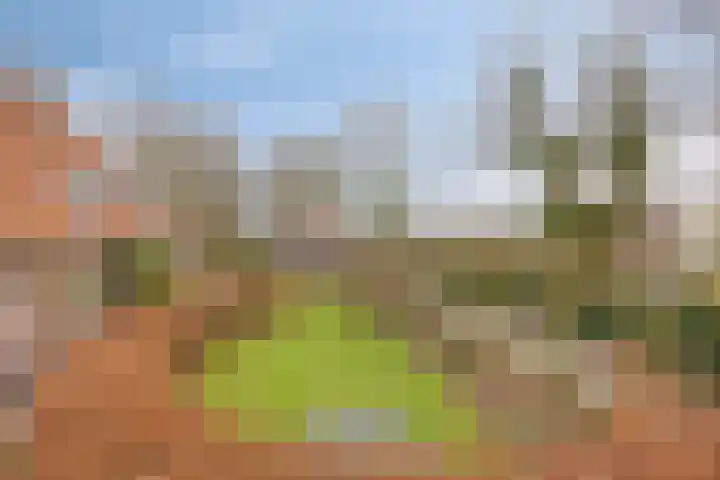 Achterdijk 3 Rossum thumbnail 79