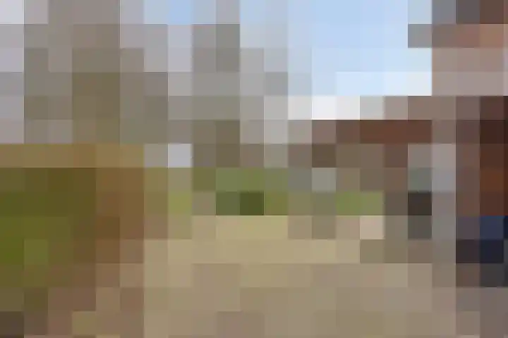 Achterdijk 3 Rossum thumbnail 81