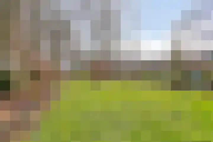 Achterdijk 3 Rossum thumbnail 84