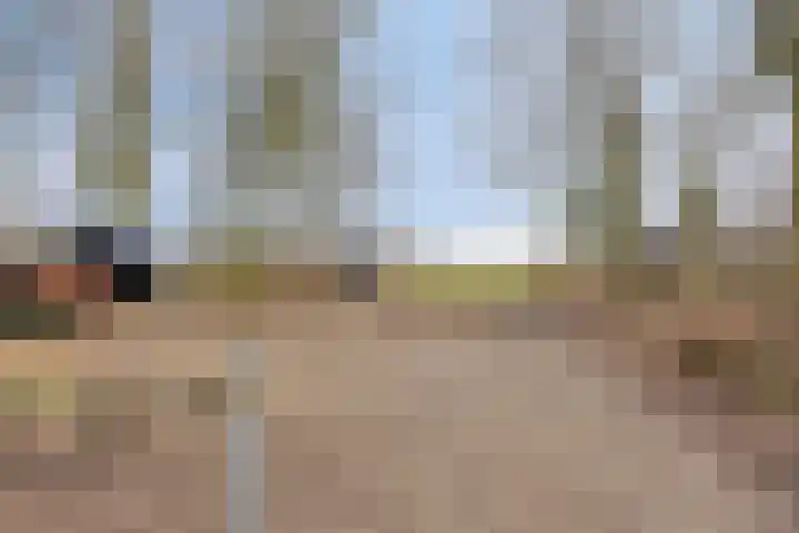 Achterdijk 3 Rossum thumbnail 86