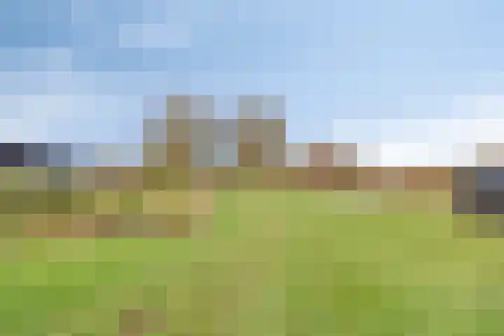 Achterdijk 3 Rossum thumbnail 92