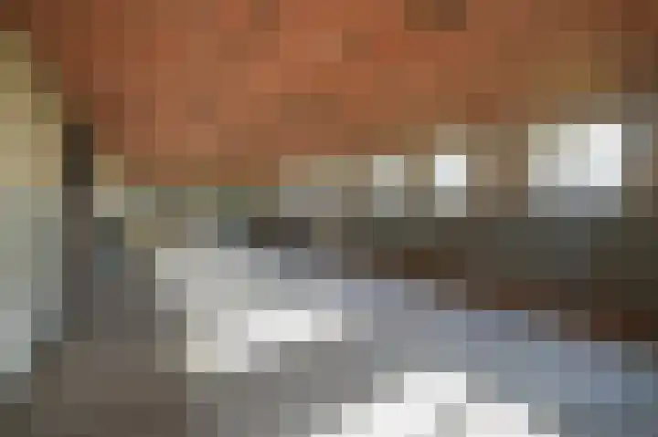 Achterdijk 6 Rossum thumbnail 20
