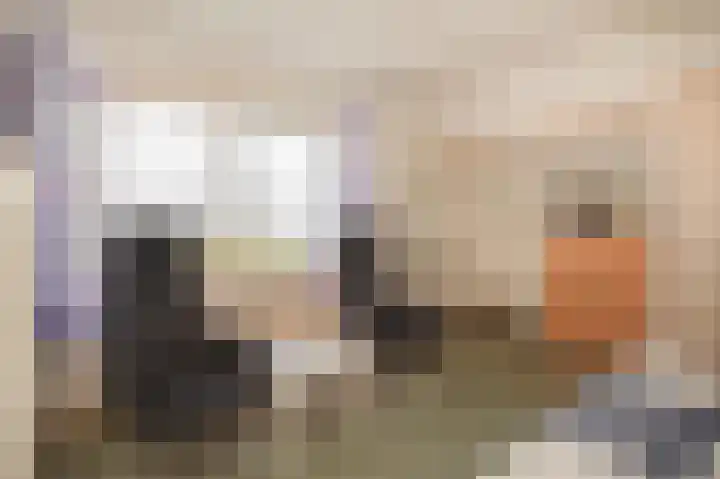 Achterdijk 6 Rossum thumbnail 39