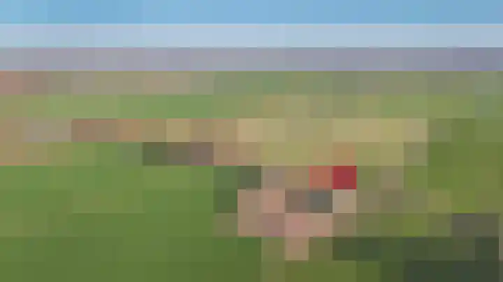Achterdijk 6 Rossum thumbnail 45