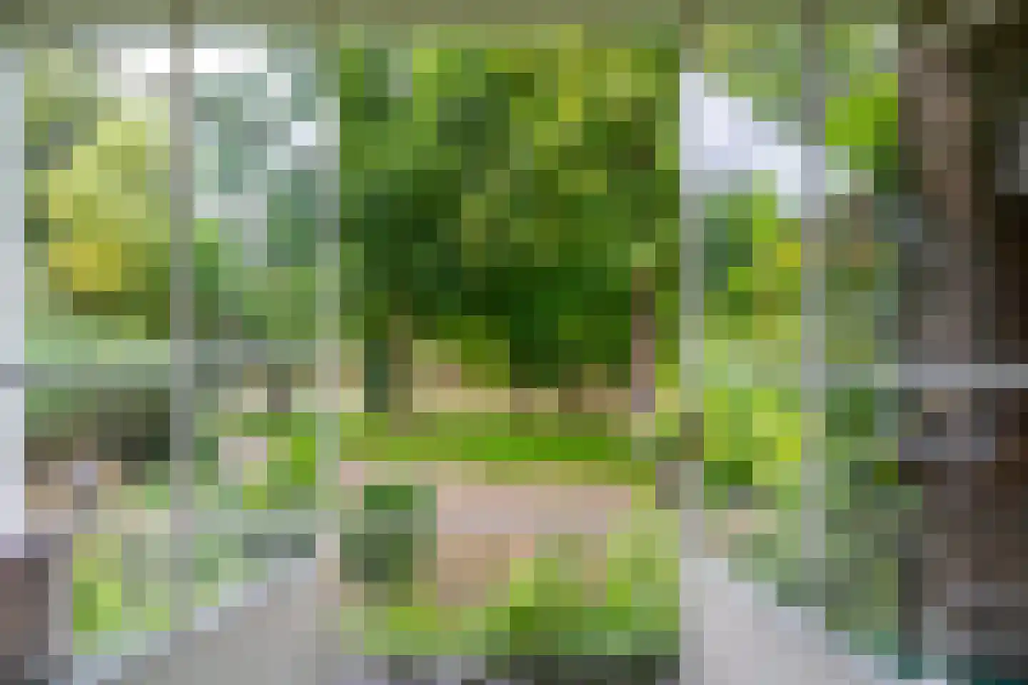 Achterdijk 6 Rossum thumbnail 47