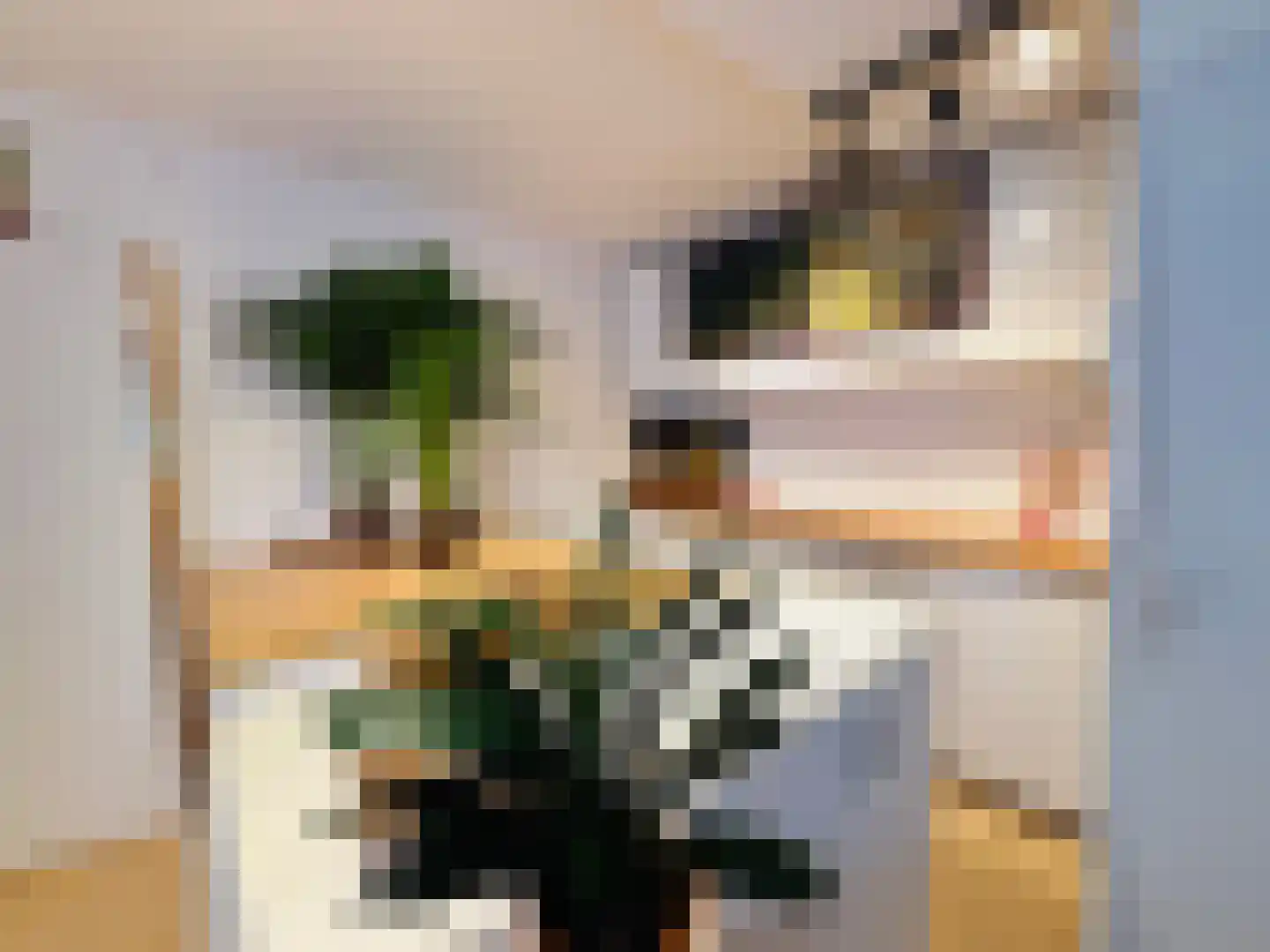 Achterdorp 10 Dirksland thumbnail 10