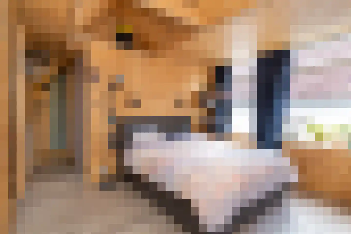 Achterdorp 10 Dirksland thumbnail 15