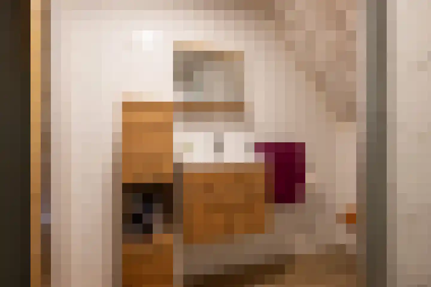 Achterdorp 10 Dirksland thumbnail 20