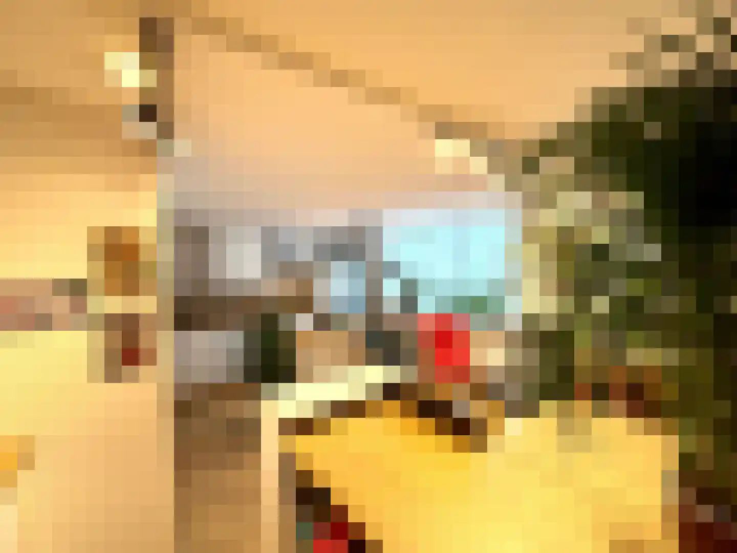 Achterdorp 10 Dirksland thumbnail 4