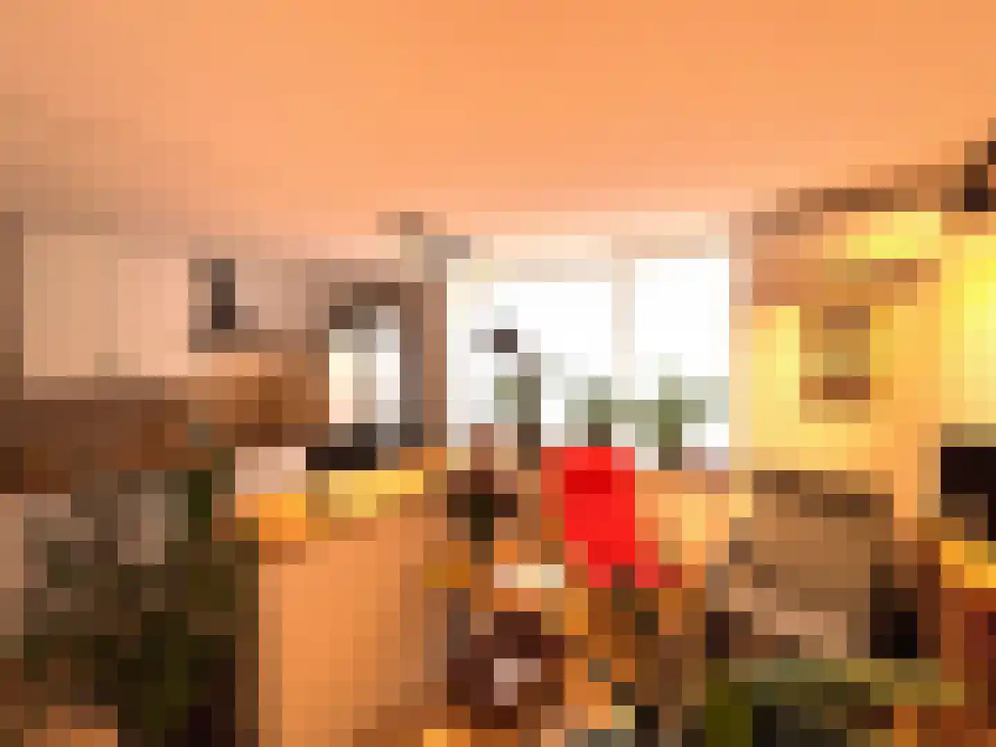 Achterdorp 10 Dirksland thumbnail 5