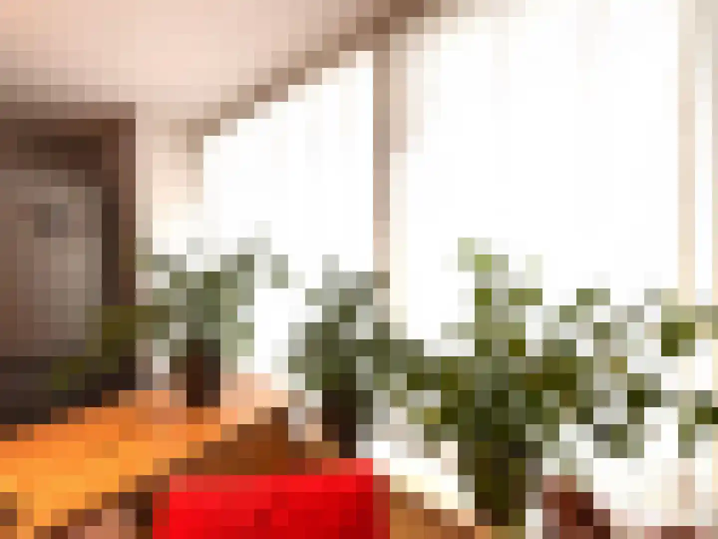 Achterdorp 10 Dirksland thumbnail 6