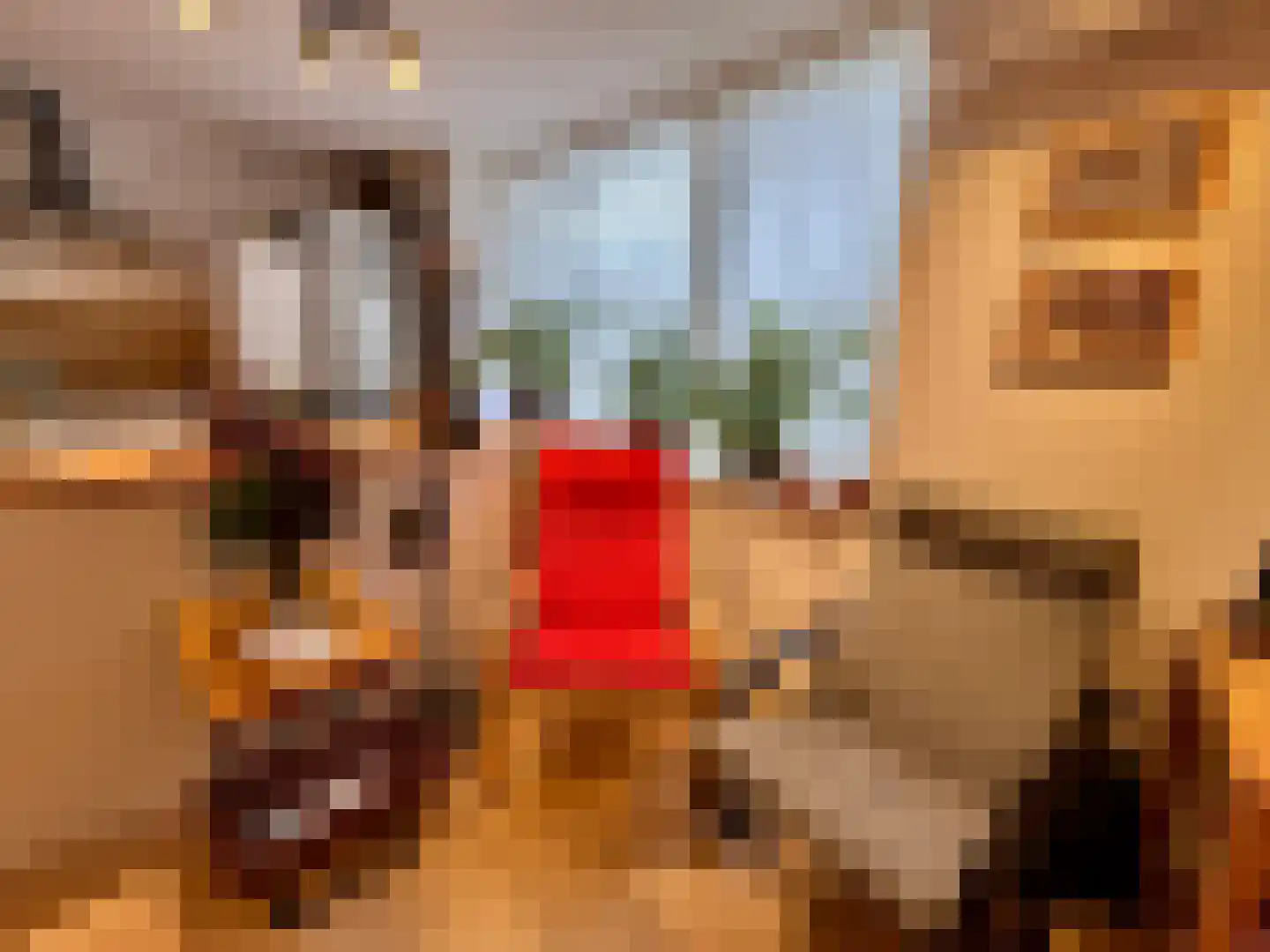 Achterdorp 10 Dirksland thumbnail 7