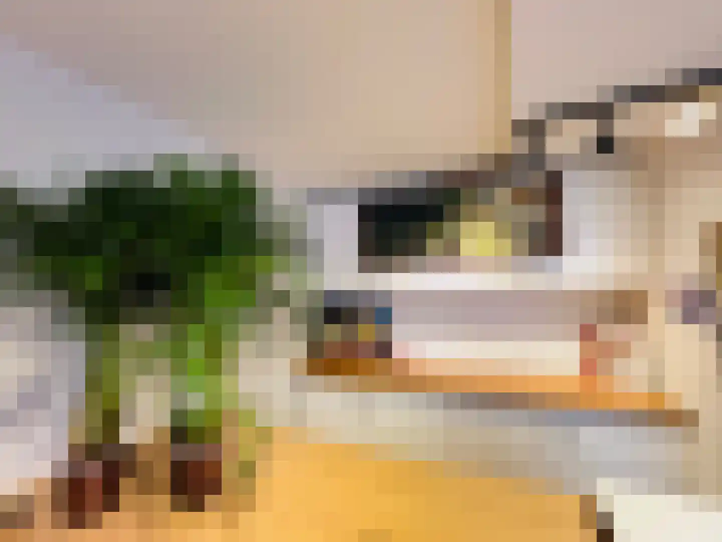Achterdorp 10 Dirksland thumbnail 8