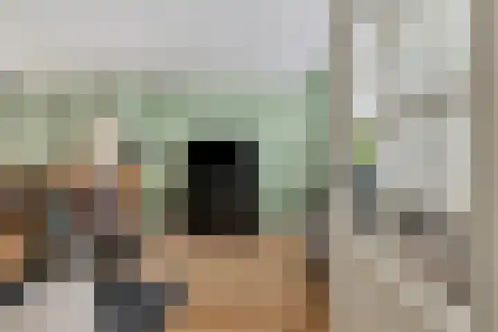 Achterdorp 18 Dirksland thumbnail 11