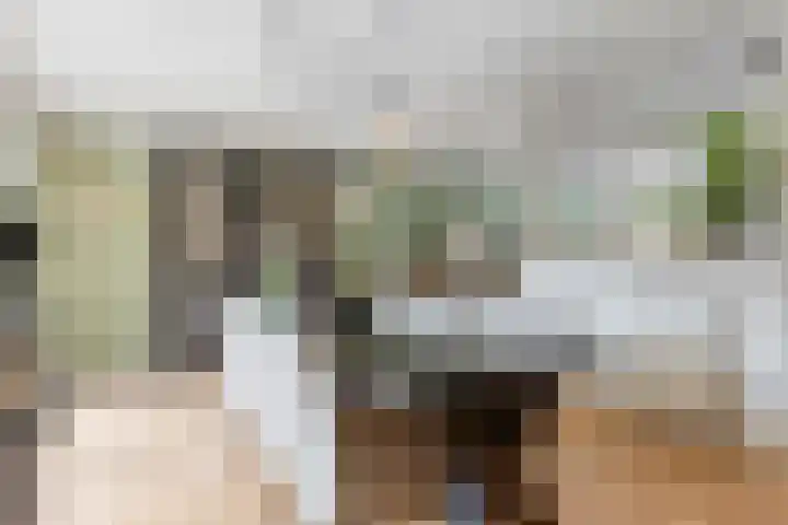 Achterdorp 18 Dirksland thumbnail 14