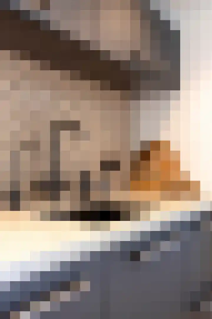 Achterdorp 18 Dirksland thumbnail 16