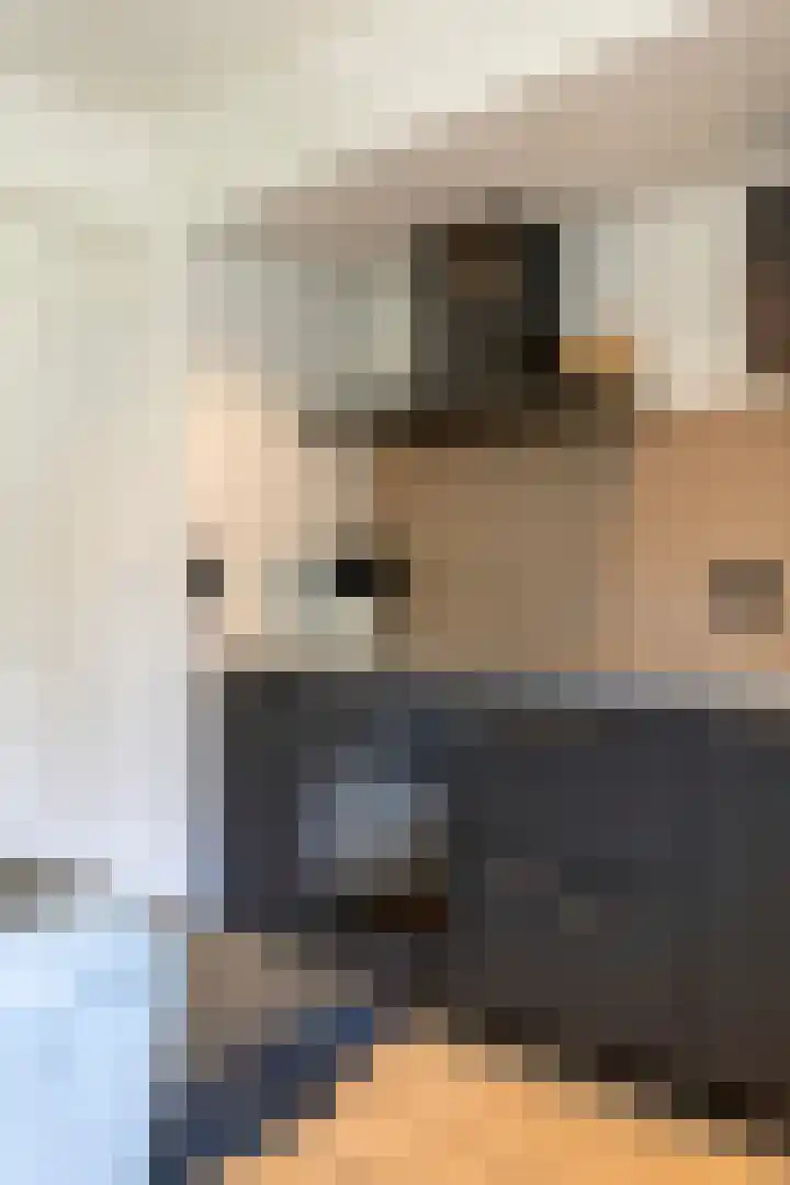 Achterdorp 18 Dirksland thumbnail 17