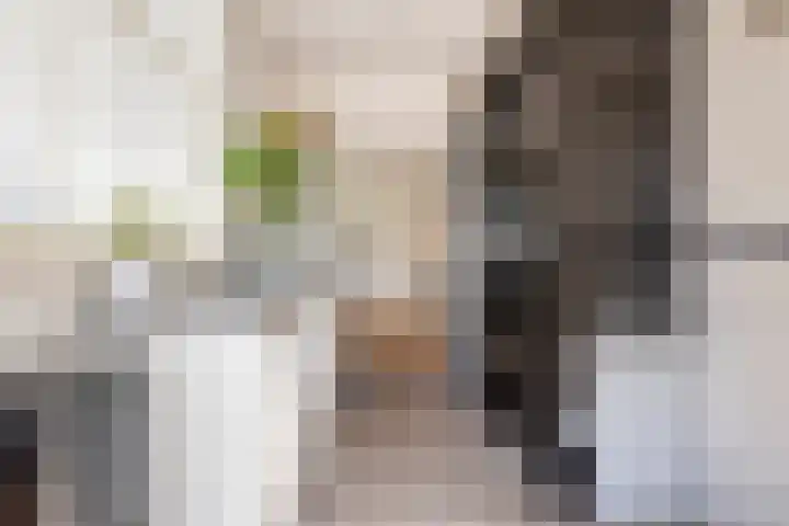Achterdorp 18 Dirksland thumbnail 18