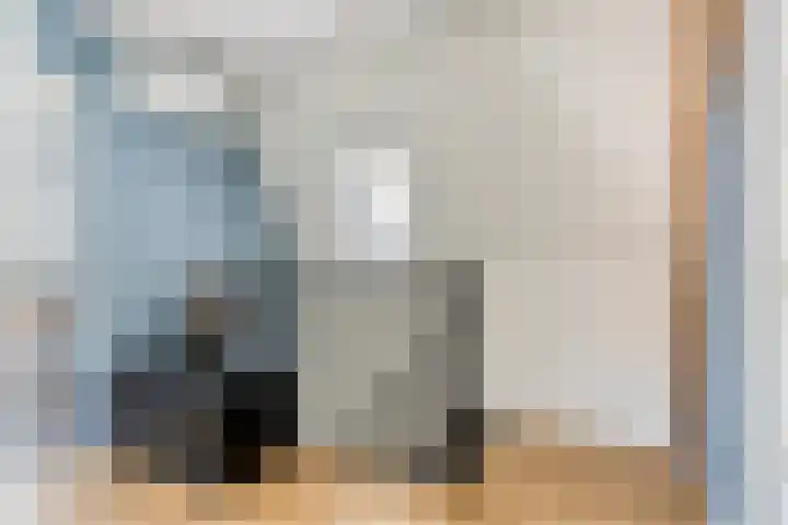 Achterdorp 18 Dirksland thumbnail 26