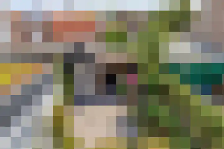 Achterdorp 18 Dirksland thumbnail 28