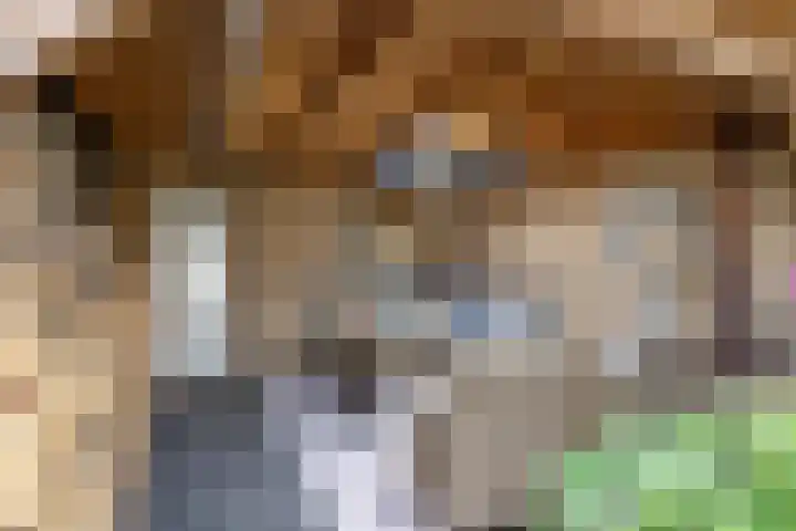 Achterdorp 18 Dirksland thumbnail 30