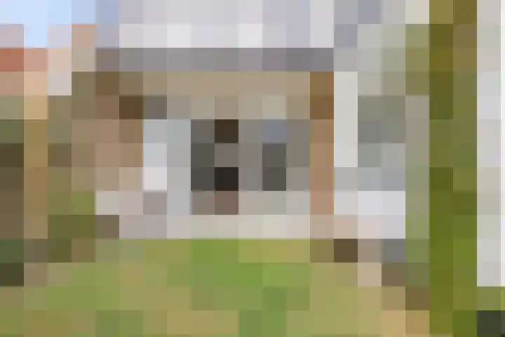 Achterdorp 18 Dirksland thumbnail 32