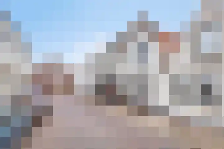 Achterdorp 18 Dirksland thumbnail 34