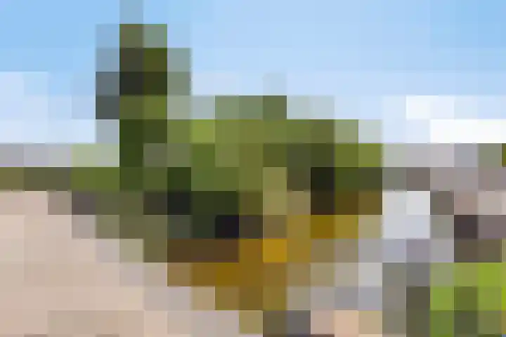 Achterdorp 18 Dirksland thumbnail 37