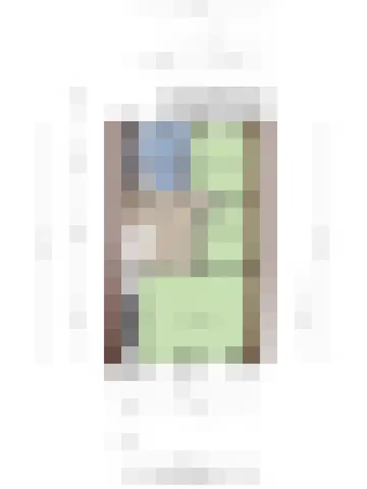 Achterdorp 18 Dirksland thumbnail 39