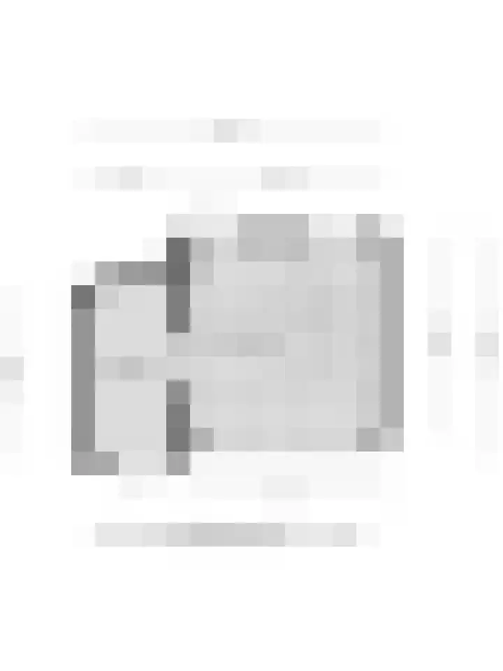 Achterdorp 18 Dirksland thumbnail 41