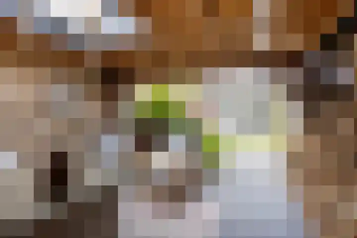 Achterdorp 18 Dirksland thumbnail 5