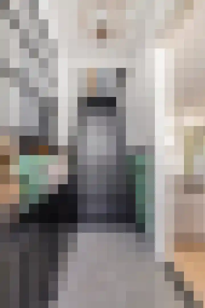 Achterdorp 18 Dirksland thumbnail 7