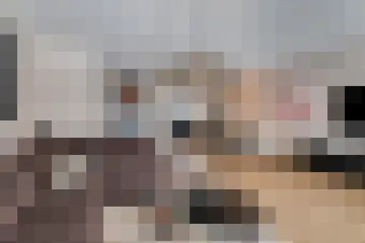 Achtererf 75 Tholen thumbnail 10