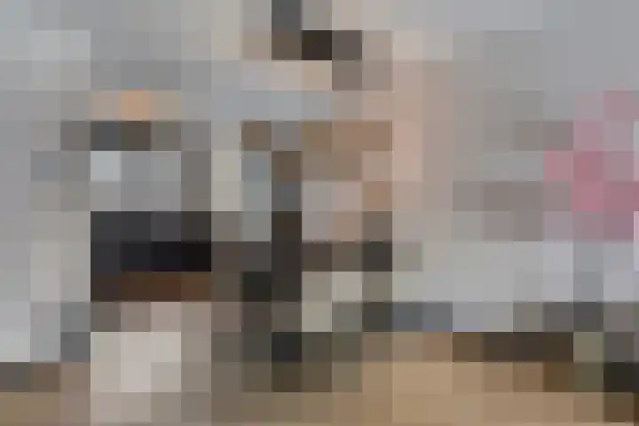 Achtererf 75 Tholen thumbnail 12