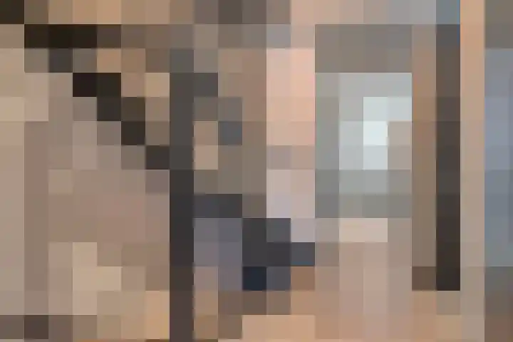 Achtererf 75 Tholen thumbnail 19