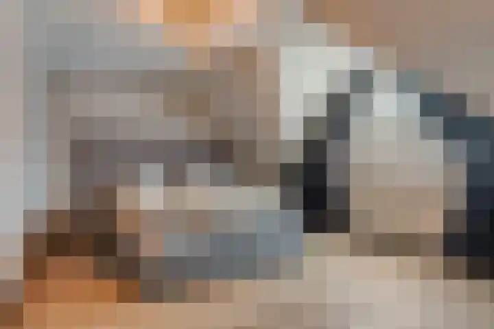 Achtererf 75 Tholen thumbnail 20