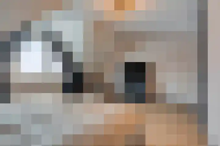 Achtererf 75 Tholen thumbnail 21