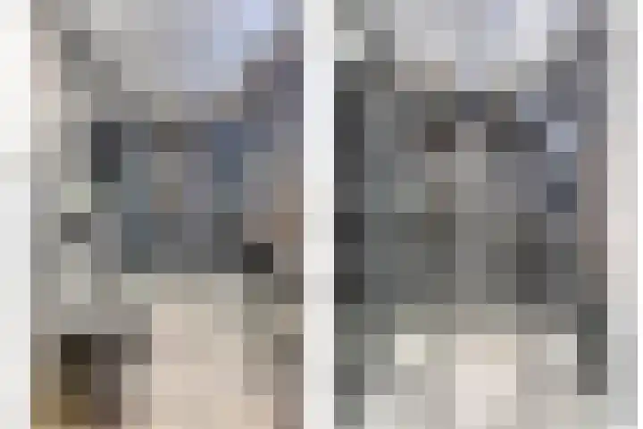 Achtererf 75 Tholen thumbnail 24