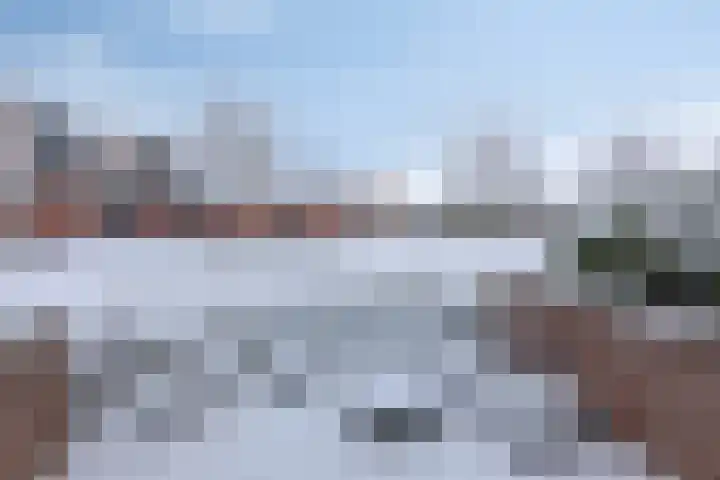 Achtererf 75 Tholen thumbnail 35